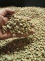 Café Arabica bio du Chiapas, Mexique